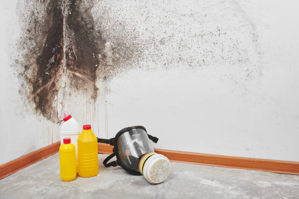 Best Crawl Space Mold Removal  in Tulare, CA