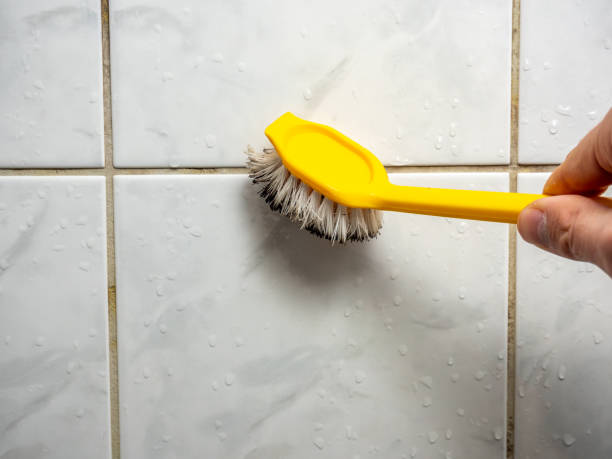 Best Black Mold Removal  in Tulare, CA