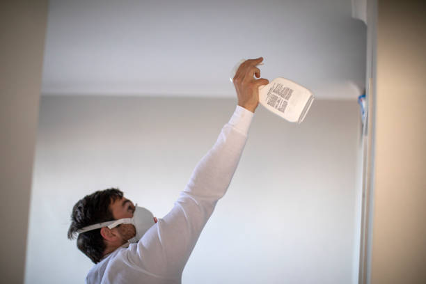 Best Mold Removal Near Me  in Tulare, CA