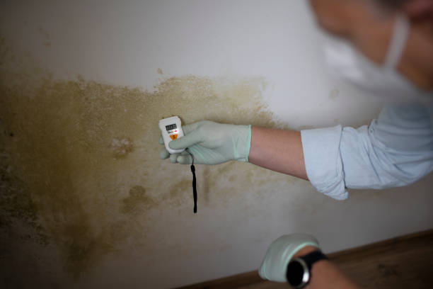 Best Residential Mold Removal  in Tulare, CA