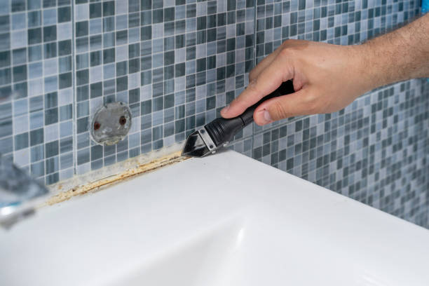  Tulare, CA Mold Removal Pros