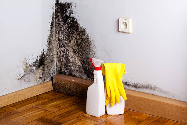 Best Emergency Mold Removal  in Tulare, CA