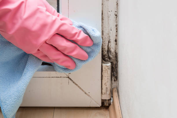 Best Mold Testing  in Tulare, CA